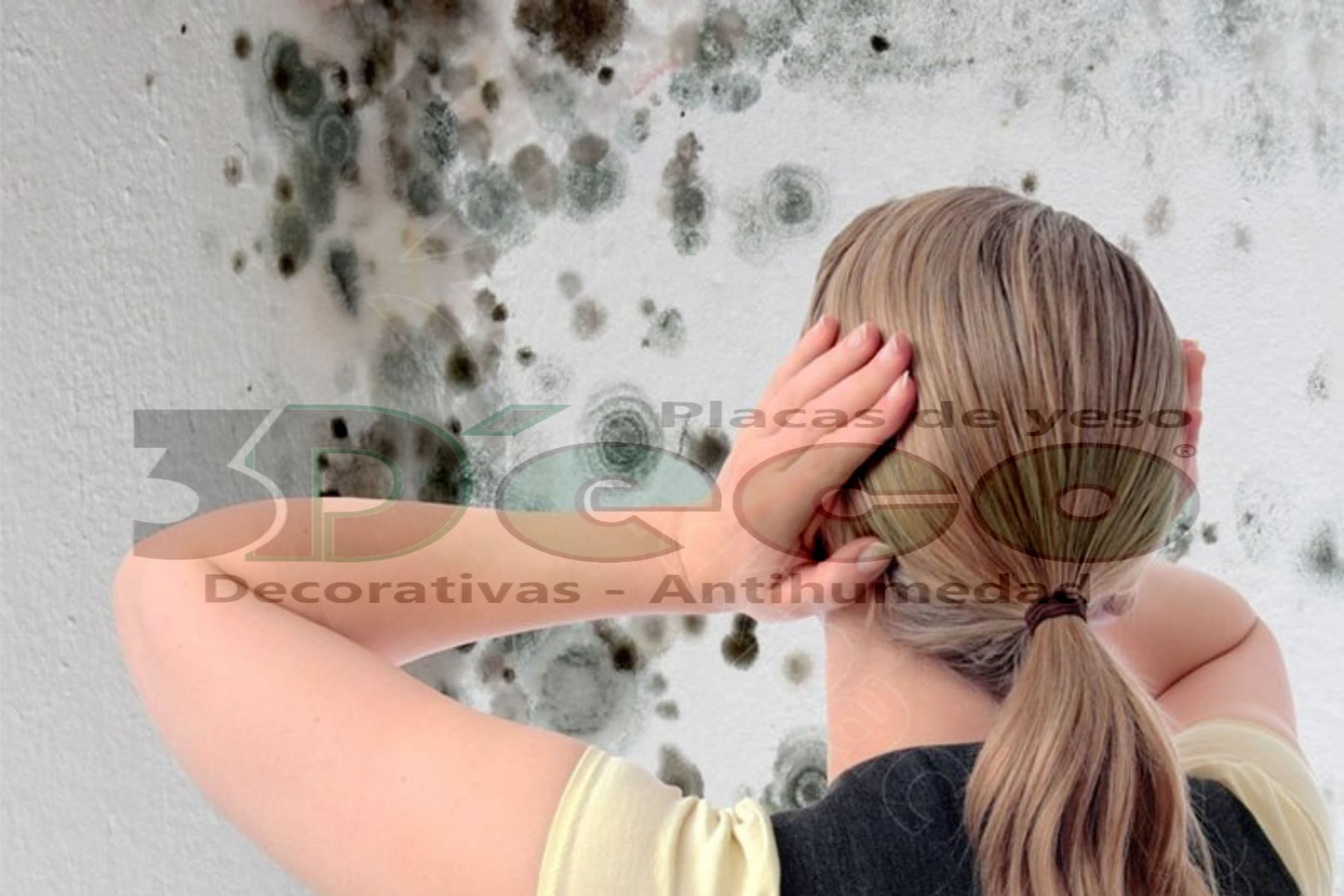 No mas humedad en la pared